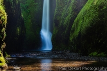 Hidden Oneonta - Oneonta Gorge Oregon  photo by Paul Dekort