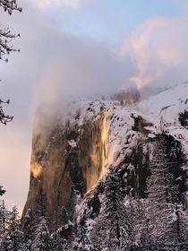 Hiked about a mile in snow with my dog and fianc stood in  feet snow for more than an hour to witness the majestic Yosemite Firefall Totally worth it 