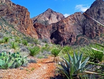 Hiking Trail of Big Bend National Park Texas 