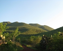 Hills in the Galpagos Islands 