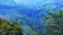 Hillside of Sri Lanka 