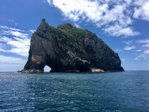 Hole in the Rock Motukokako island New Zealand 