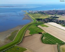 Holstein Germany Dike by Bsum next to the North Sea or more accurately the Wadden Sea The little white dots are sheep compressing and mowing the grass Height is m over mean sea level 
