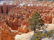 Hoodoo formations of Bryce Canyon National Park Utah 