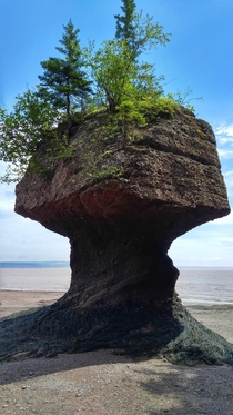 Hopewell Rocks formation at low tide in the Bay of Fundy 