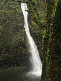 Horsetail falls outside of Portland OR along the Columbia River OC  x 
