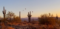 Hot air balloons rising with the Phoenix sun
