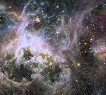 Hubble telescope image of Tarantula nebula  light years away and contains over  stars