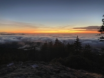 Humboldt County sunset from above the fog  OC
