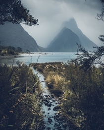 I can see why this place is so famous Milford Sound Fiordland 