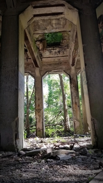 I enjoyed the greenery in the ceiling opening of this unknown abandon structure