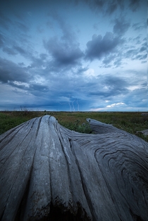I finally had the opportunity to shoot my first ever photo with lightning West Dyke Trail Richmond BC 