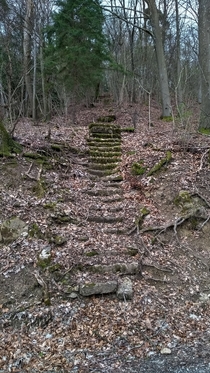 I found a long forgotten set of stairs in the forest