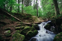 I found another stream this time it wasnt by accident Taken in Stockholms National Park Tyresta By 