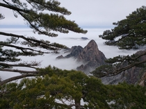 I found it almost too perfect how well the trees framed the scene Snowy view from the top of Huangshan Yellow Mountain Anhui Province China 