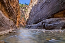 I heard we were posting some Narrows shots from Zion 