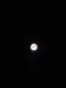 I looked out my bedroom window and took a snap of the moon Its not amazing or anything but this is the clearest shot ive ever taken of the moon so i thought id share it