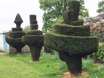 I love a bit of topiary