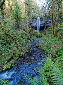 I never tire of chasing waterfalls in Oregon 