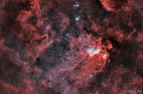I photographed the Prawn nebula and the surrounding hydrogen gas It glows red because stars nearby stars are casuing the hydrogen to give off photons like a cosmic neon light