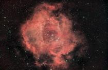 I pointed my camera at one spot in the sky for  hours to capture the Rosette Nebula in great detail