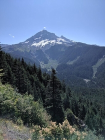 I ran out of gas in the forest trekked days without food or water and had to fend off numerous attacks from feral jungle children but it was all worth it because I got this view of MtHood