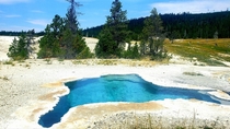 I think being boiled alive by the thermal vents at Yellowstone would be worth it 