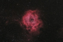 I took a picture of the Rosette Nebula from my backyard with a DSLR 