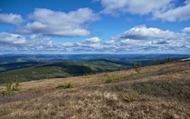 I took the dog for a walk on Murphy Dome just north of Fairbanks yesterday - It was a pretty day 