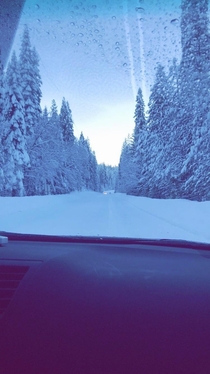 I took this in my dads car on the way to go skiing last winter no idea how it ended up like this though