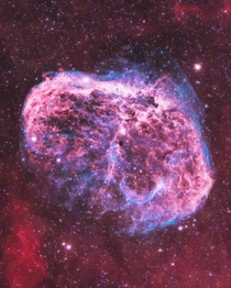 I took this photo of the Crescent Nebula - and it looks like a brain in space