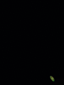 I took this video of Saturn last night with my Sony camera Asii telephoto lens in Sydney Australia