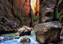 I walked  miles through The Narrows at Zion National Park UT a few weeks ago This was my favorite picturecellphone 