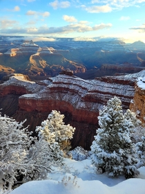 I was lucky to see the morning sun on the snow covered Grand Canyon after severe winter storms Arizona 