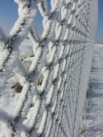 Ice Crystals Form on Utah Fence  OC