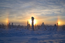 Ice crystals suspended in air help create this phenomenon called a sundog Near Anchorage AK 