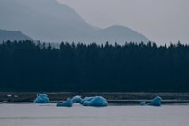 Icebergs in Tracy Arm Fjord Alaska 