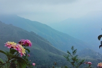 Idukki hillstation Kerala 