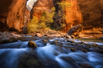 If youve never hiked the Narrows in Zion National Park youre missing out OC  ross_schram