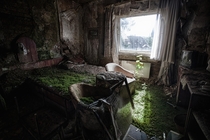 In a bed of grass - Room in a burned out and abandoned hotel near Erfurt Germany  photo by Michael Mehrhoff