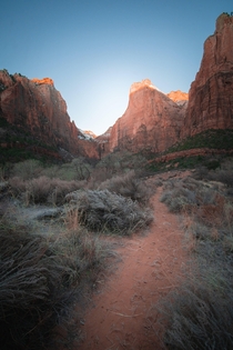 In the Court of the Patriarchs Zion National Park 