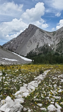 In the high country of Montanas Bob Marshall Wilderness 