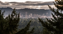In the middle of the forest there is Portland - 