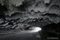 Incredible ice crystals and hoarfrost on the ceiling of a glacier cave - Castner Glacier in the Alaska Range 