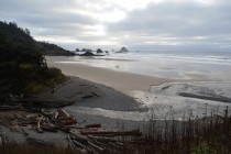 Indian Beach at low tide Ecola State Park OR 