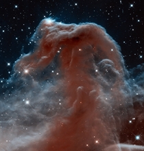 Infrared view of the Horsehead Nebula  Hubbles rd anniversary image 