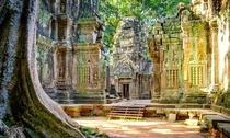 Inner walls of Ta Prohm monastery Cambodia Khmer Empire th-th century 
