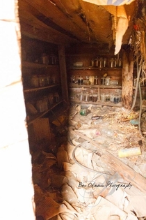 Inside an abandoned food storage cellar