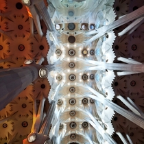 Inside La Sagrada Familia Barcelona 