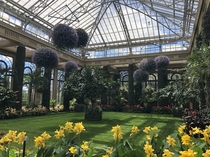 Inside the greenhouse at Longwood Gardens in the Philly suburbs